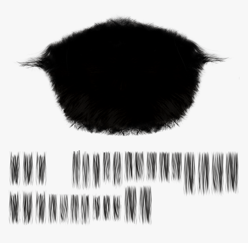 Bird, HD Png Download