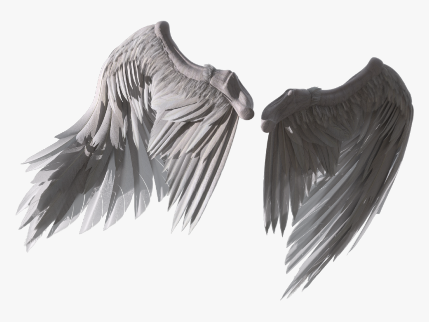 #wings #angel #fly - Sketch, HD Png Download