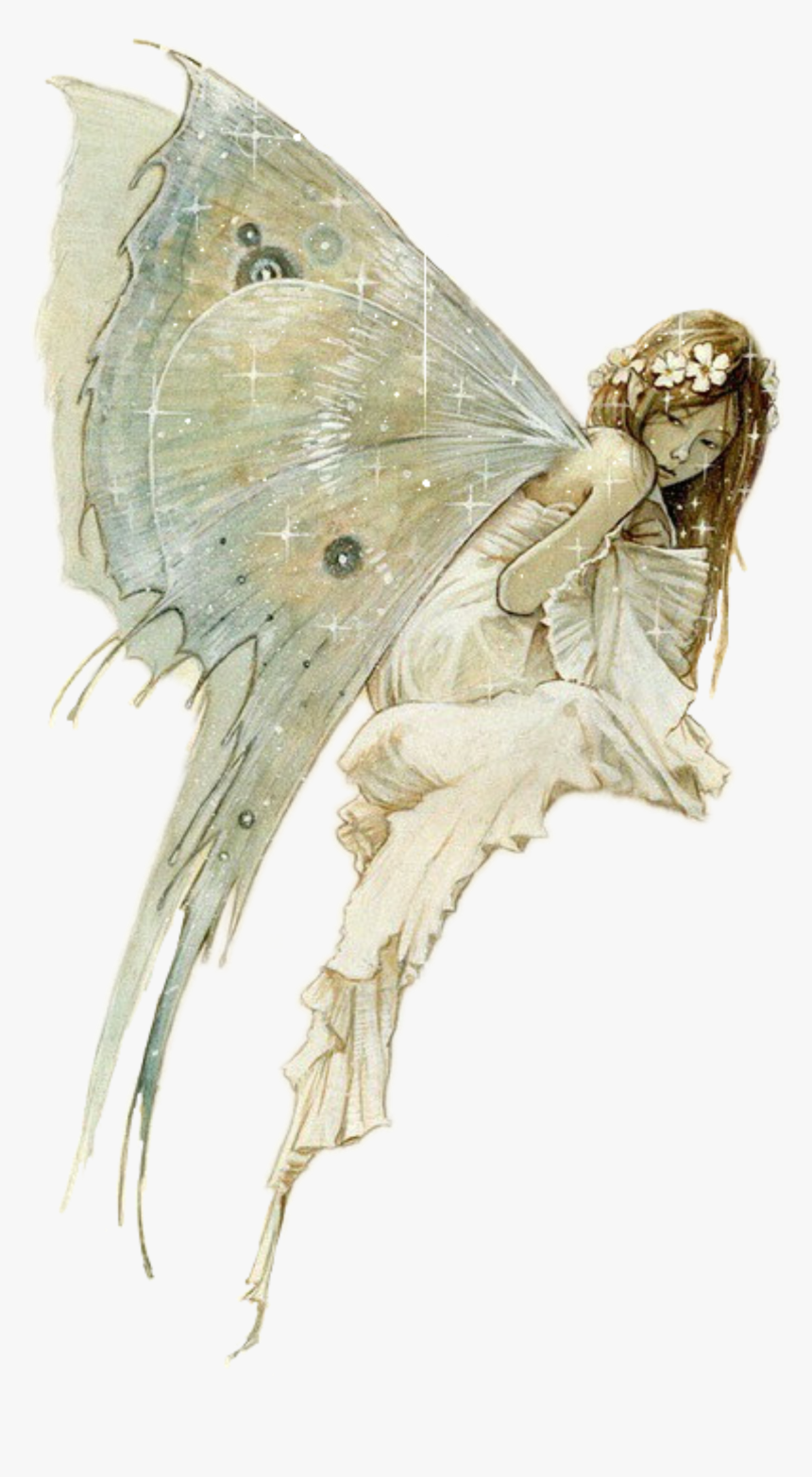 #fairy - Sketch Brian Froud Fairy, HD Png Download