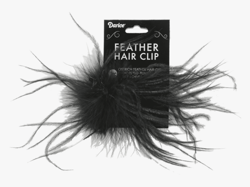 Fascinators - Sea Urchin, HD Png Download