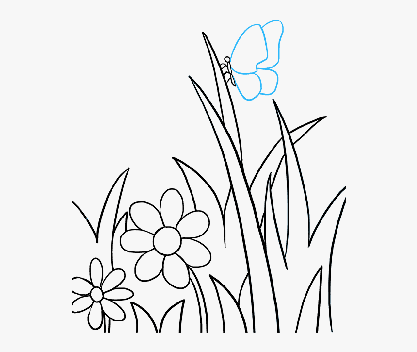 How To Draw A - Flowers And Butterfly Drawing, HD Png Download