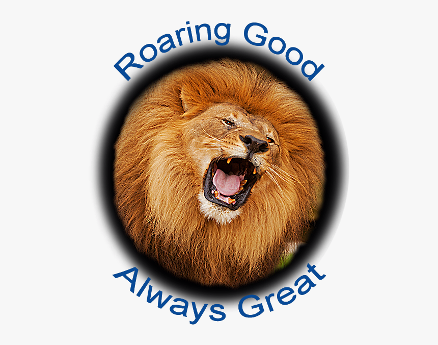 Picture - Masai Lion, HD Png Download