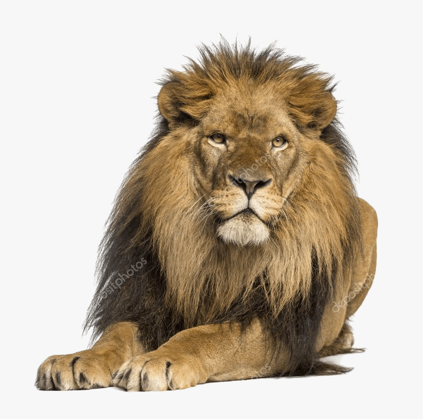 Much Does A Gold Bar Weigh, HD Png Download