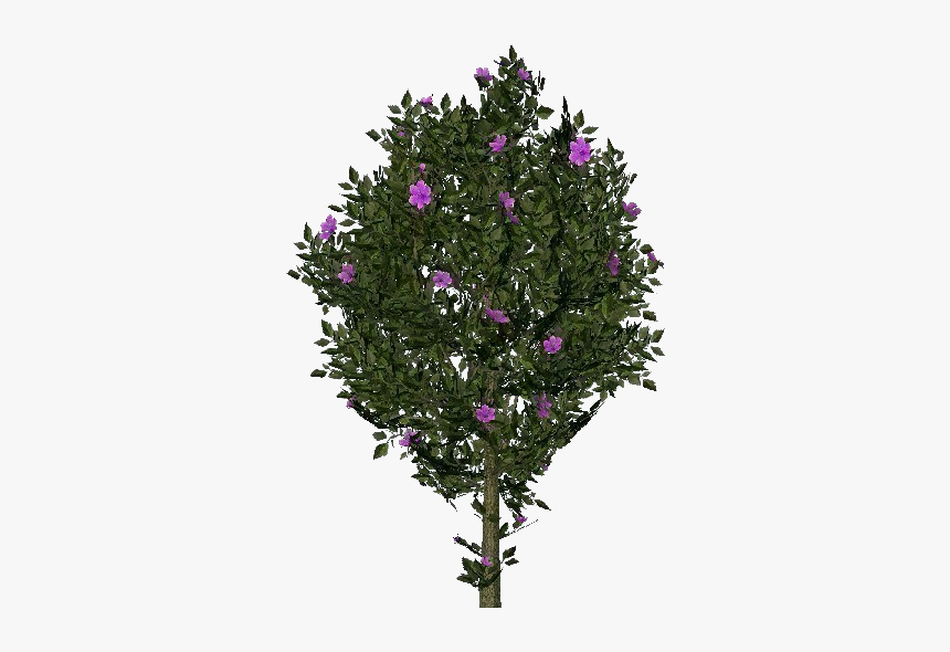 3d Flowers - Violet Hibiscus - Acca Software - Christmas Tree, HD Png Download