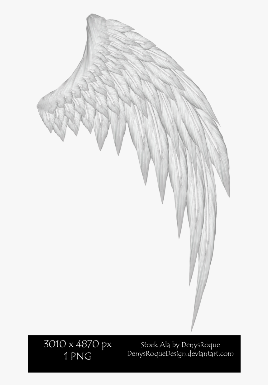 Picture Free Stock Alas De Por Denysroquedesign - Illustration, HD Png Download