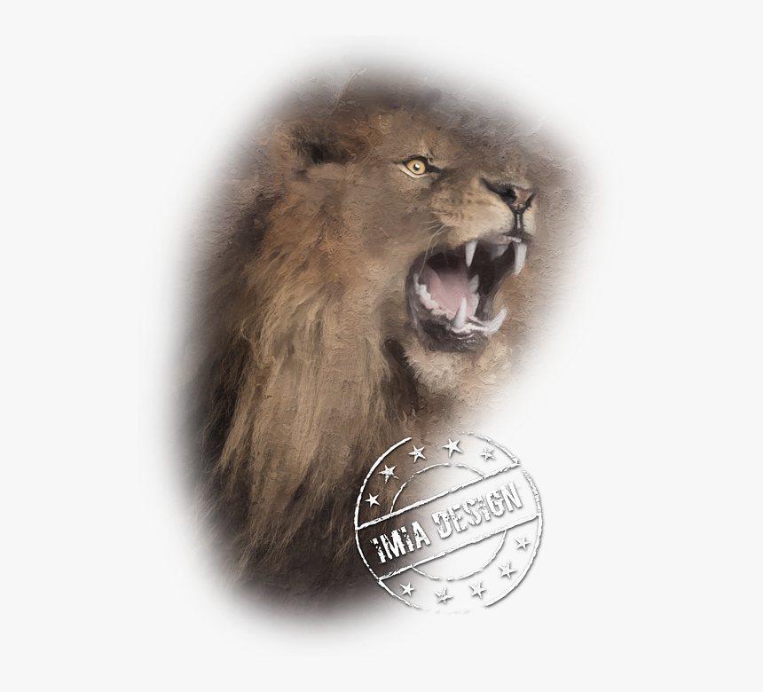 Lion, HD Png Download