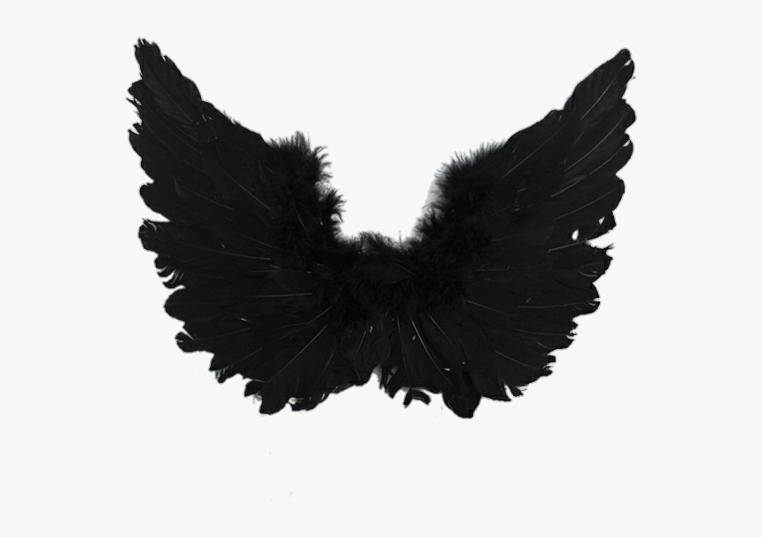 Aesthetic, Angel, And Angel Wings Image, HD Png Download