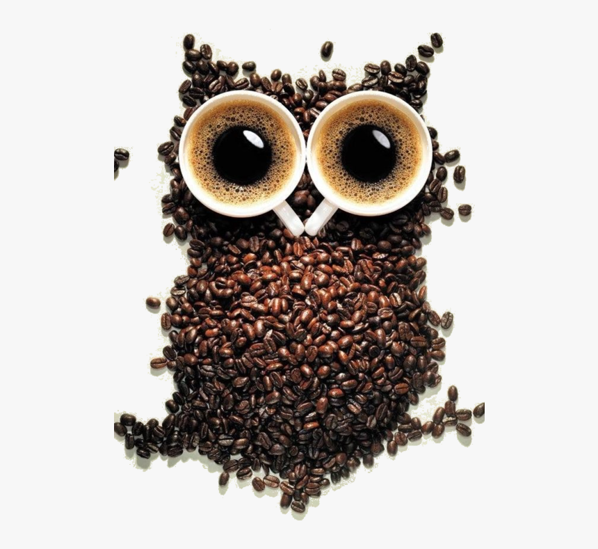 Coffe Photography, HD Png Download