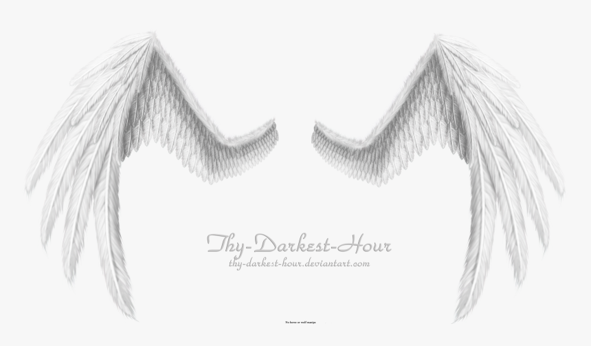Black And White Angel Wings - Wings Png For Photoshop, Transparent Png