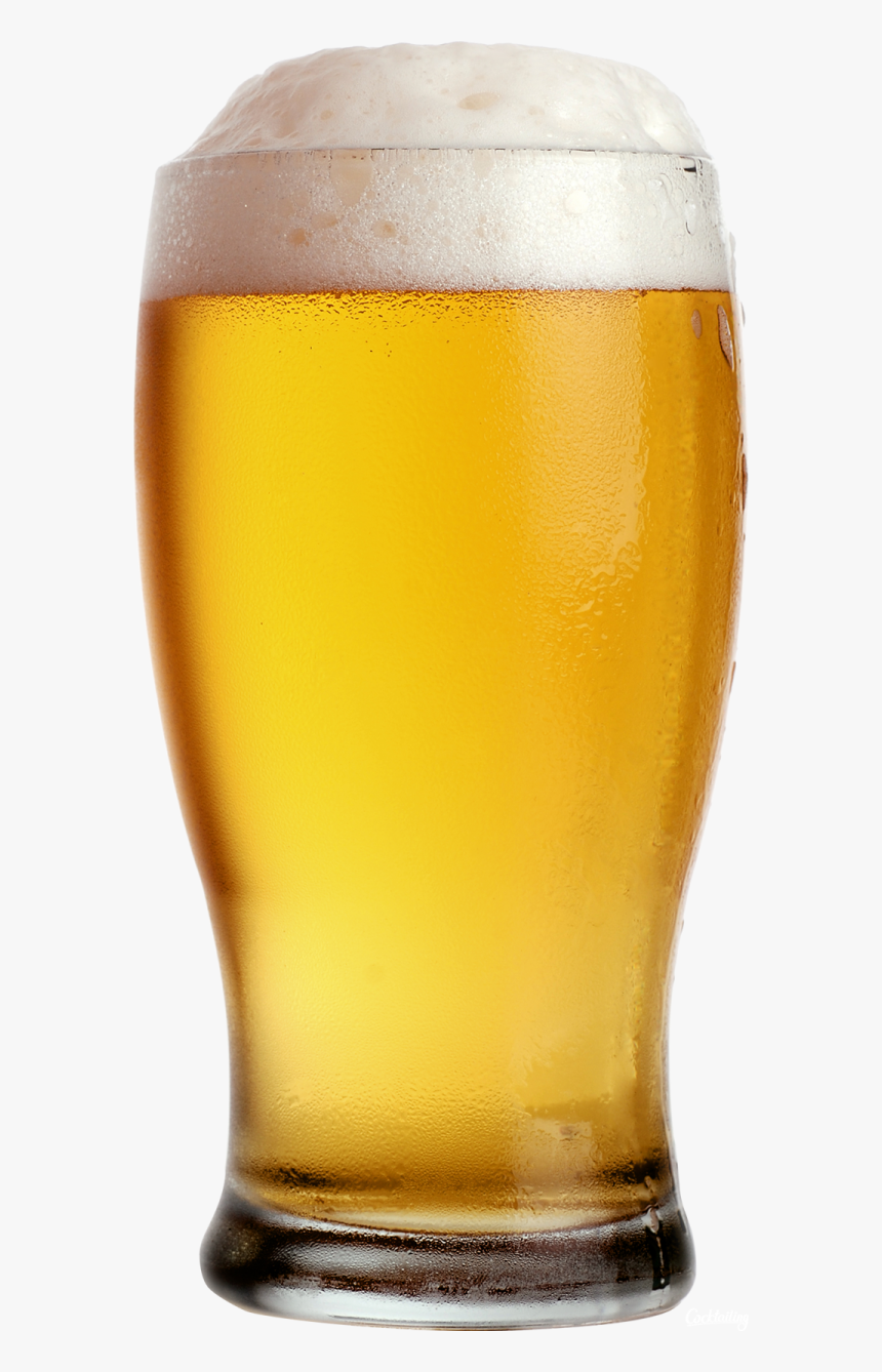 Soaked Flow Beer Free Clipart Download Glass Of Beer Png Transparent Png Transparent Png Image Pngitem