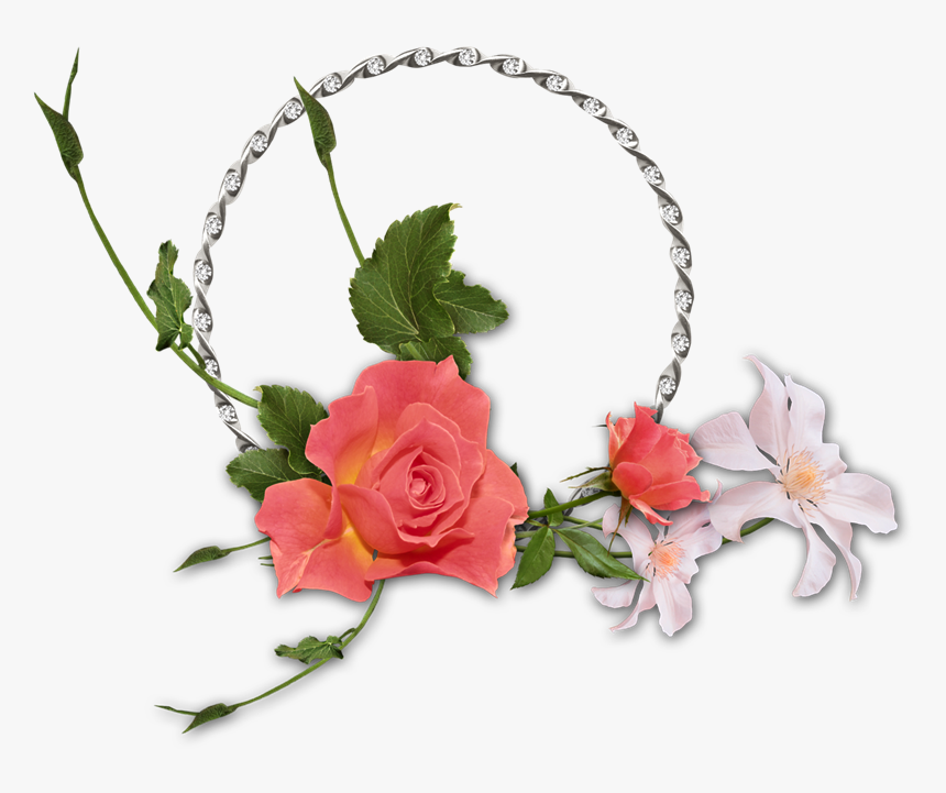 Floribunda, HD Png Download