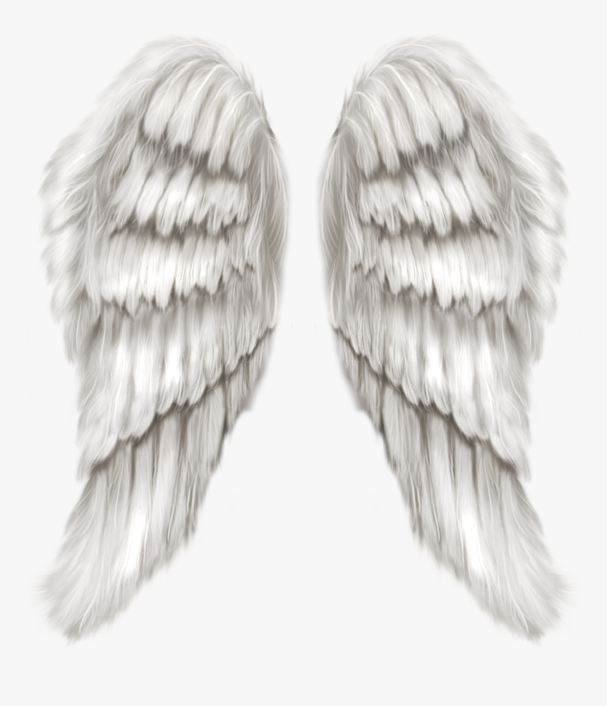 Free Transparent Angel Wing, HD Png Download