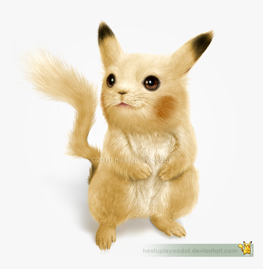 Would Pikachu Look In Real Life, HD Png Download