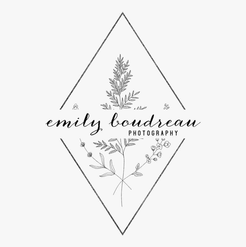 Wedding & Elopement Photographer, HD Png Download