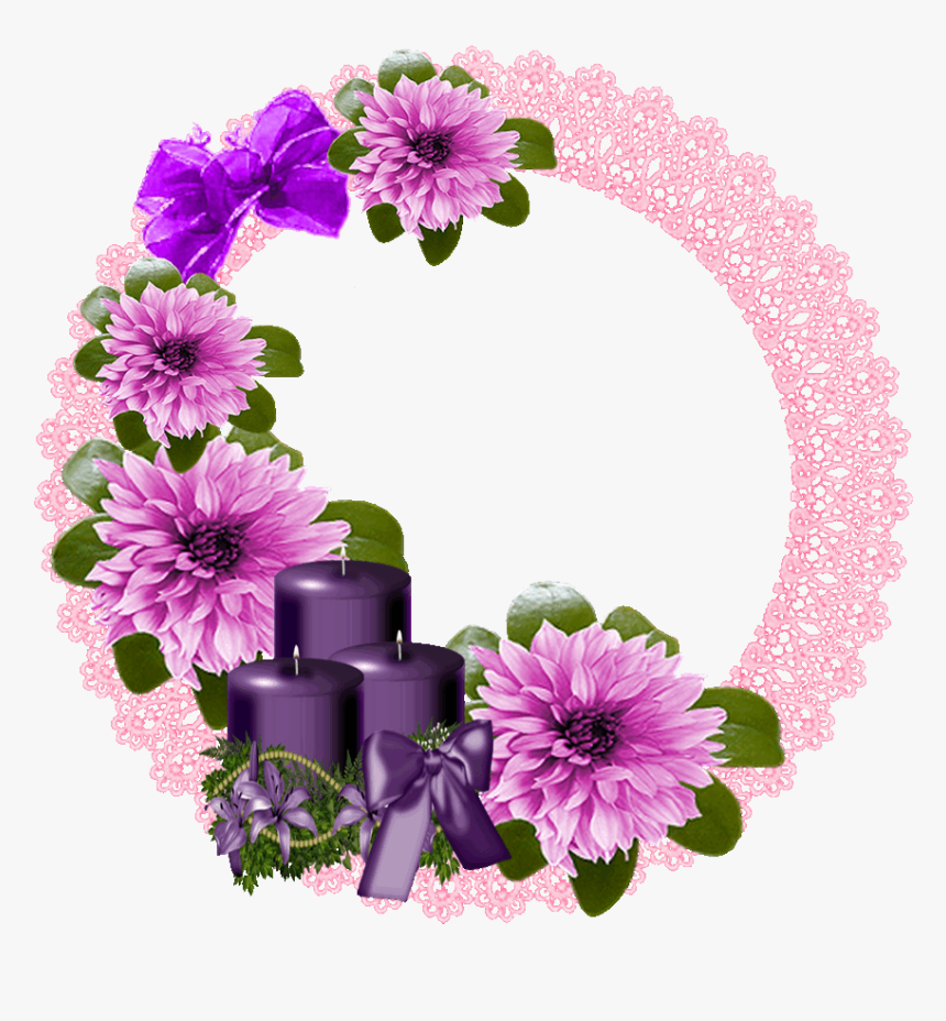 Chrysanths, HD Png Download