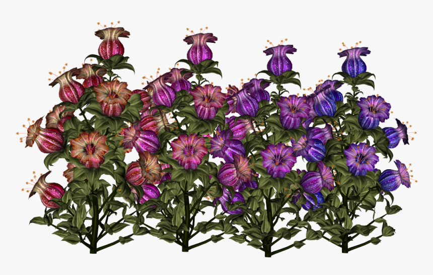 Canterbury Bells, HD Png Download