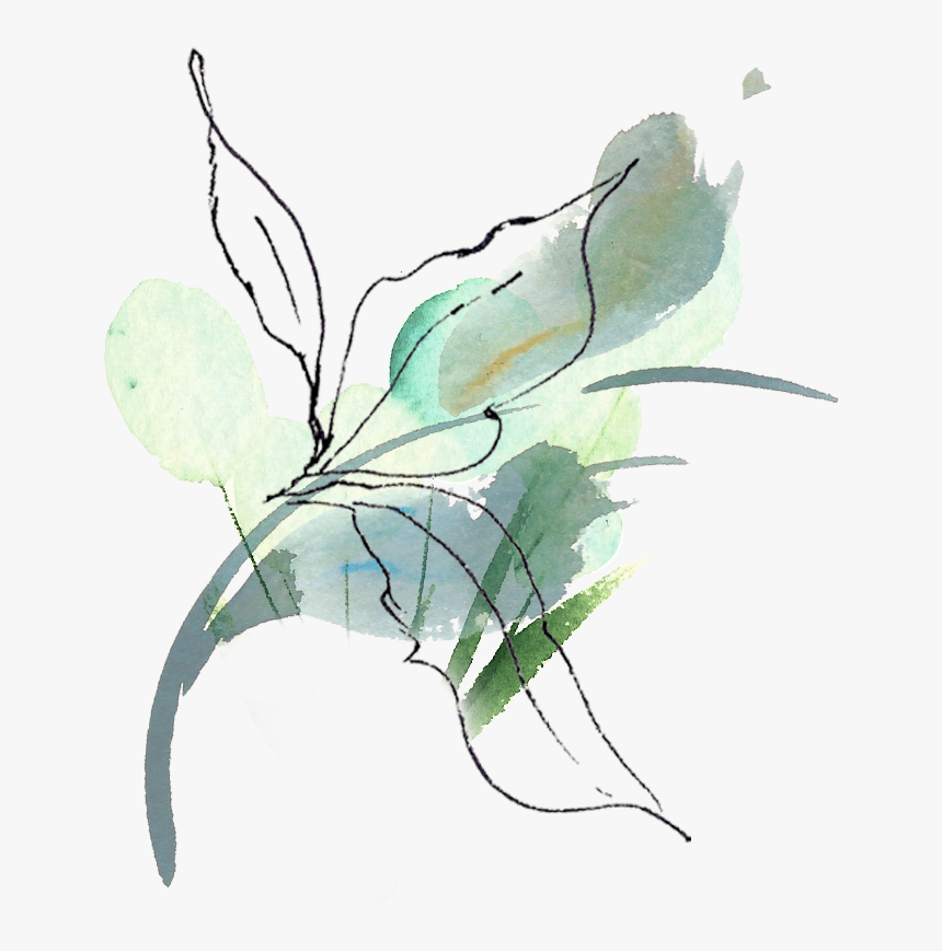 Blue Berry Leaf - Sketch, HD Png Download