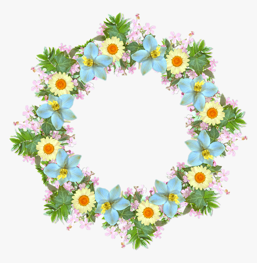 Daisy, HD Png Download