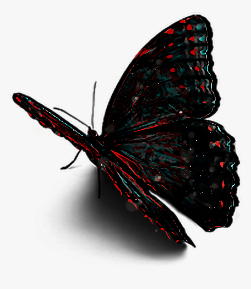 #ftestickers #butterfly, HD Png Download