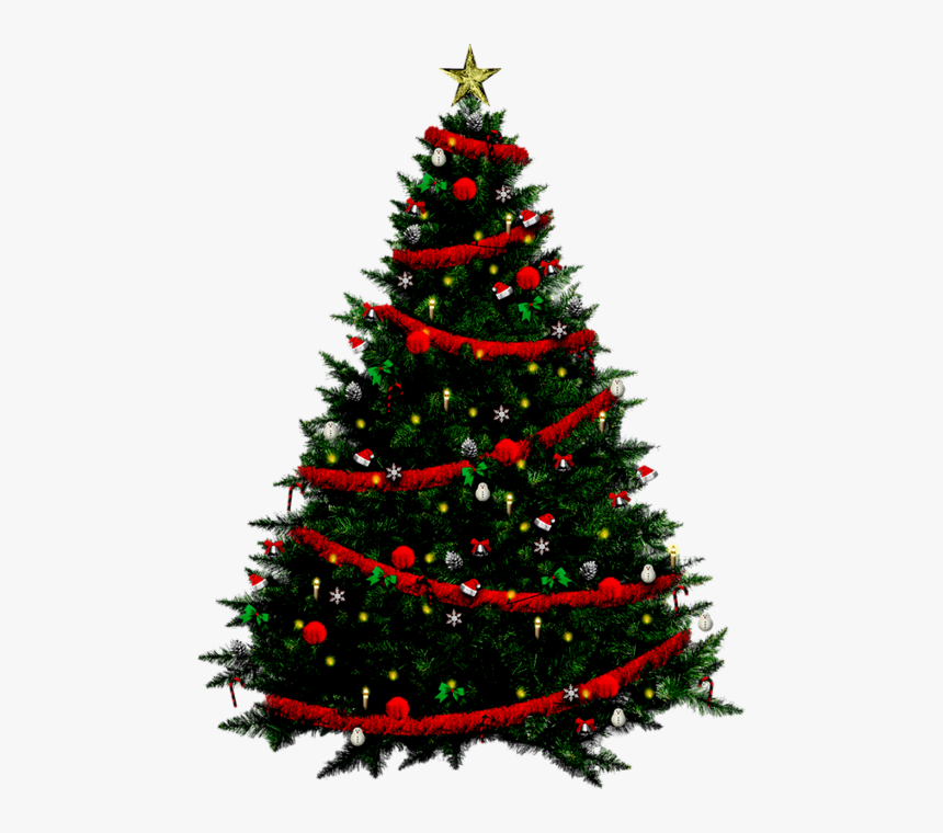 Tubes Sapins De Noel,tubes - Sapins De Noel, HD Png Download