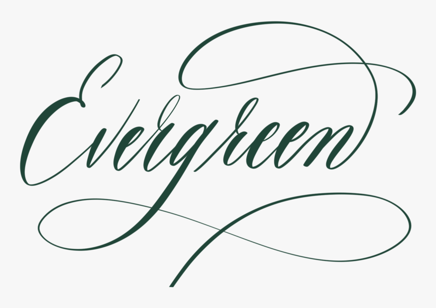 Evergreen In Calligraphy - Calligraphy, HD Png Download