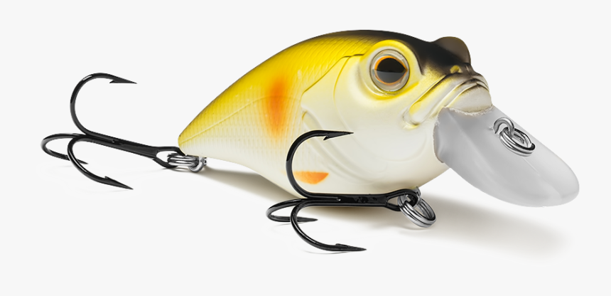 Barramundi, HD Png Download