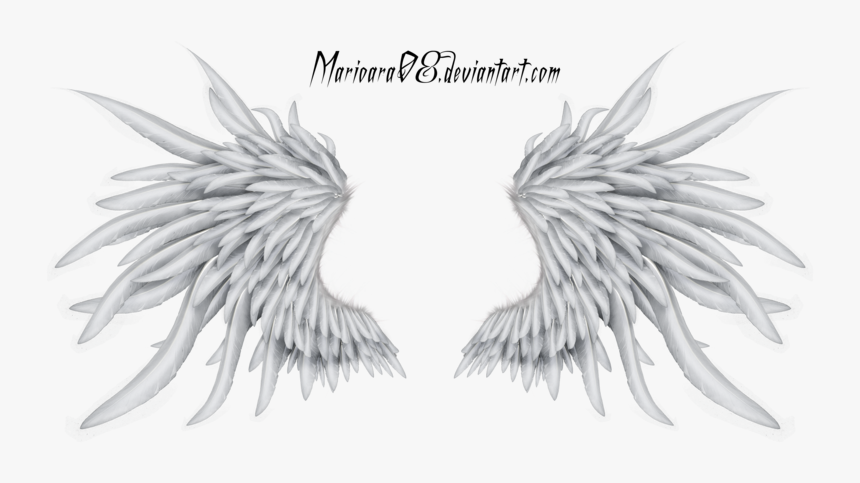 Angel, HD Png Download