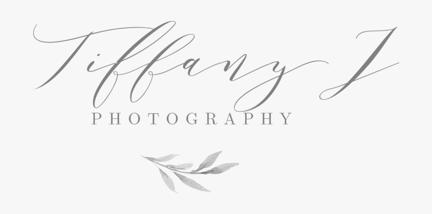 Los Angeles Wedding Photographer, HD Png Download