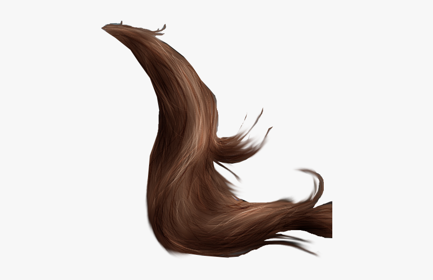 Horse Tail Png 2 By Peachesrox-stock On Deviantart - Horse Tail Png, Transparent Png
