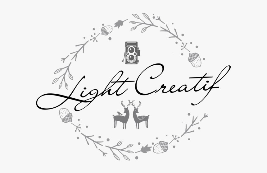 Light Creatif, HD Png Download