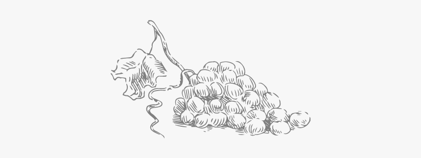 Sketch, HD Png Download