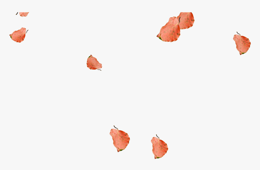 Lycaenid, HD Png Download