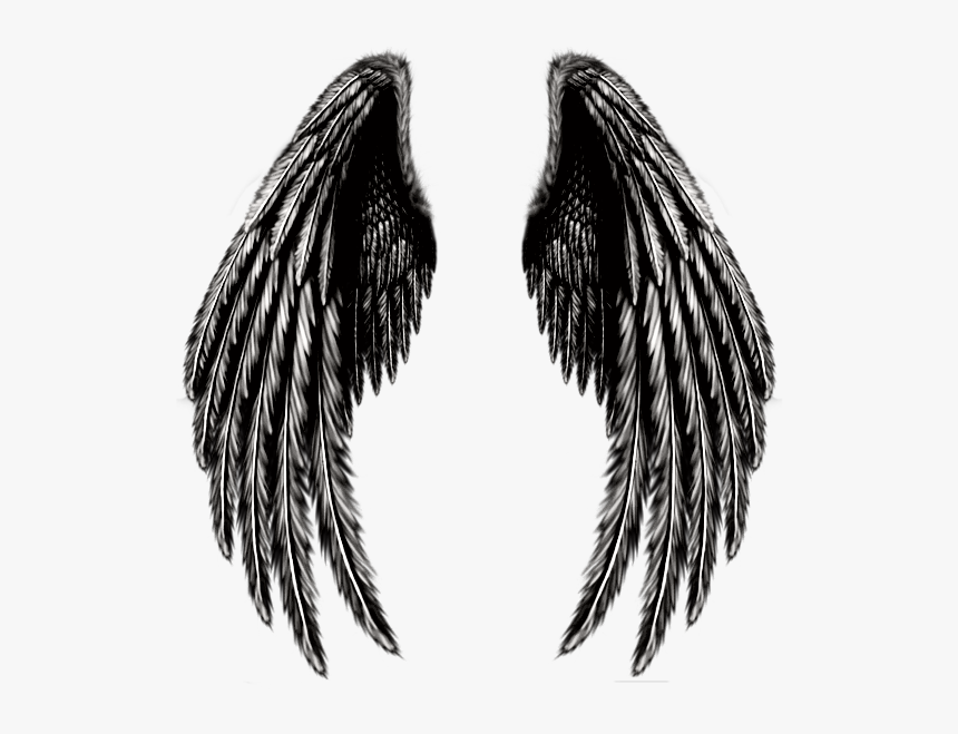 #angel #wings #angelwings #blackandwhite - Transparent Pink Angel Wings, HD Png Download