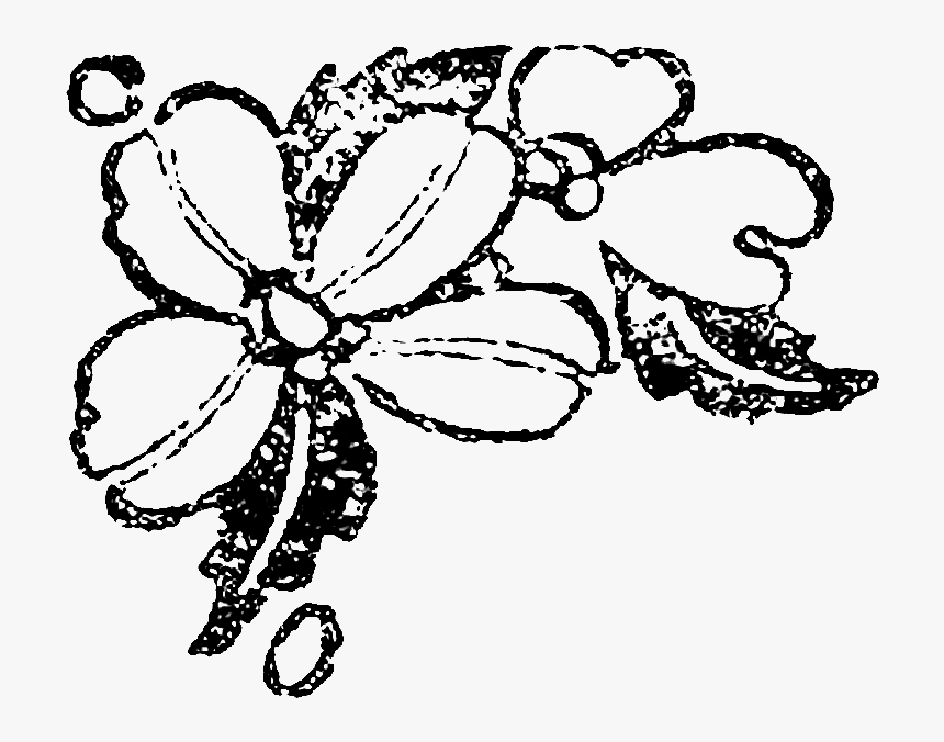 Floral Design, HD Png Download