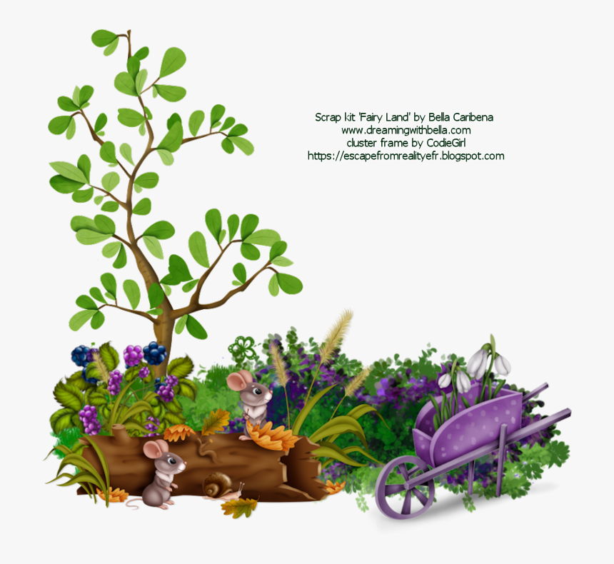 Lobelia, HD Png Download