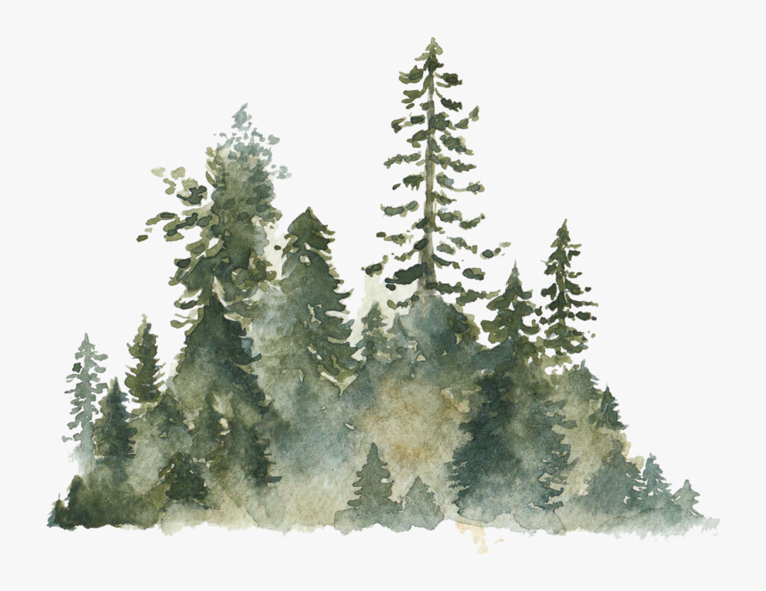 Christmas Tree, HD Png Download