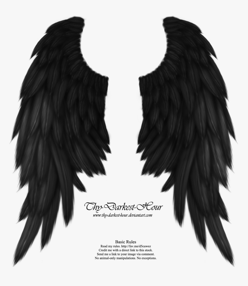 Real Angel Win Angel Wings Png - Black Angel Wings Png, Transparent Png