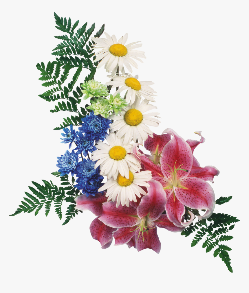 Цветы С Прозрачным Фоном, HD Png Download