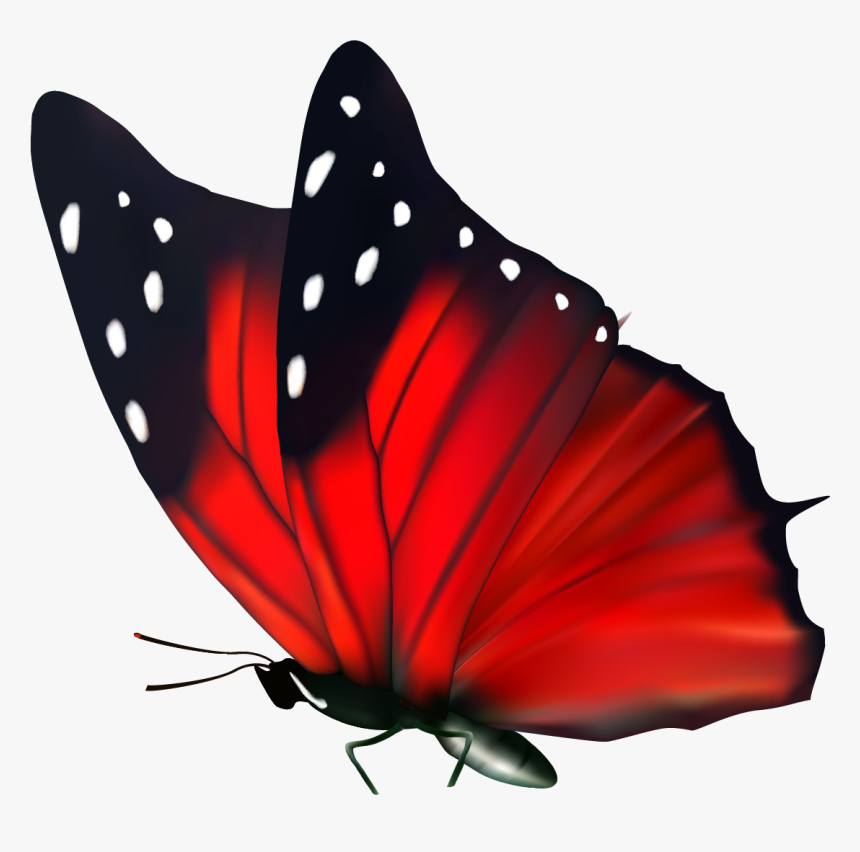 Free Butterfly Png Red, Transparent Png