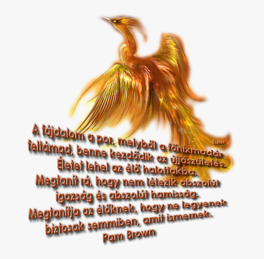 Fire Phoenix Png, Transparent Png