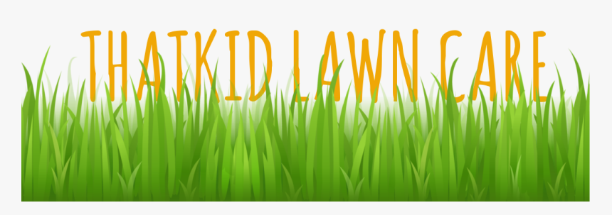 Lawn Mowing - Trimming - Watering - Edging - Thatching - Grass Vector Free, HD Png Download
