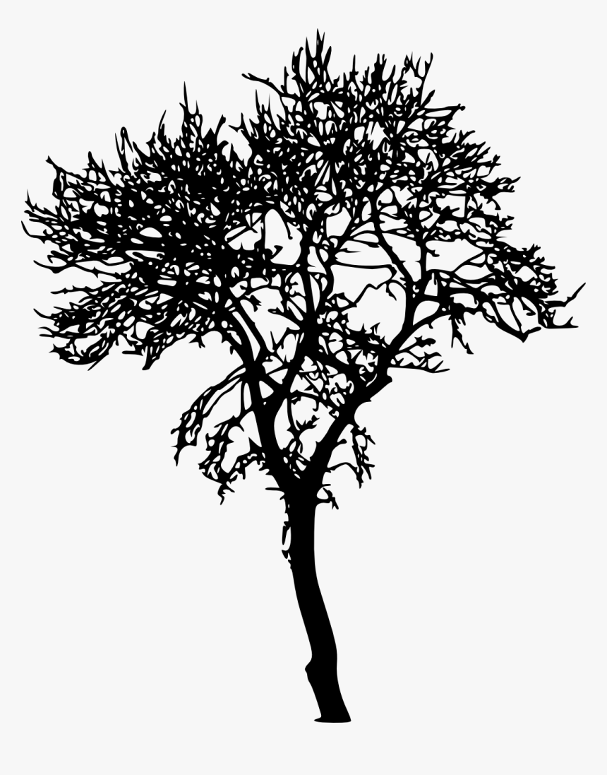 Tree Silhouette No Background, HD Png Download