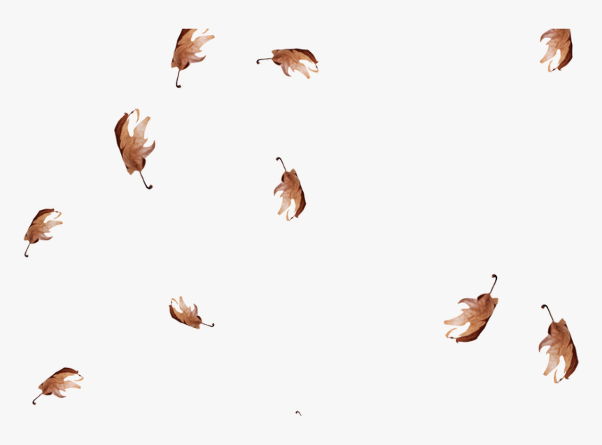 Herd, HD Png Download