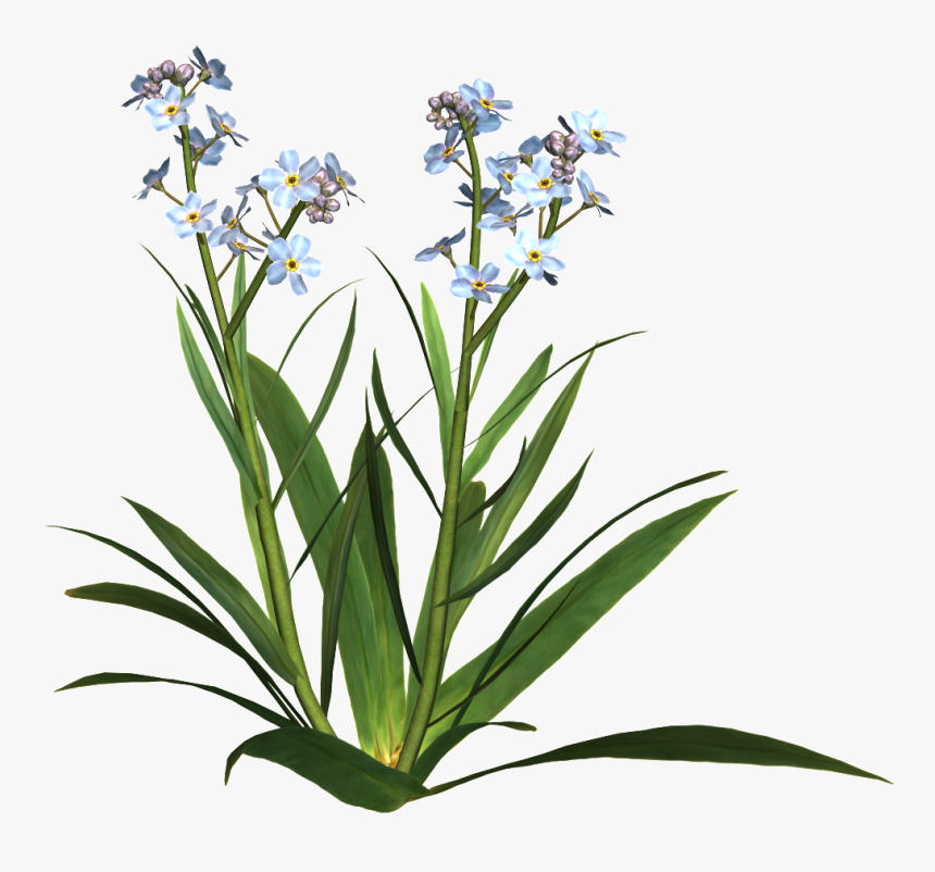 Transparent Potted Flowers Png - Plantes Fleurs * Png, Png Download