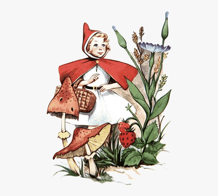 Fantasy Art Little Red Red Riding Hood, HD Png Download