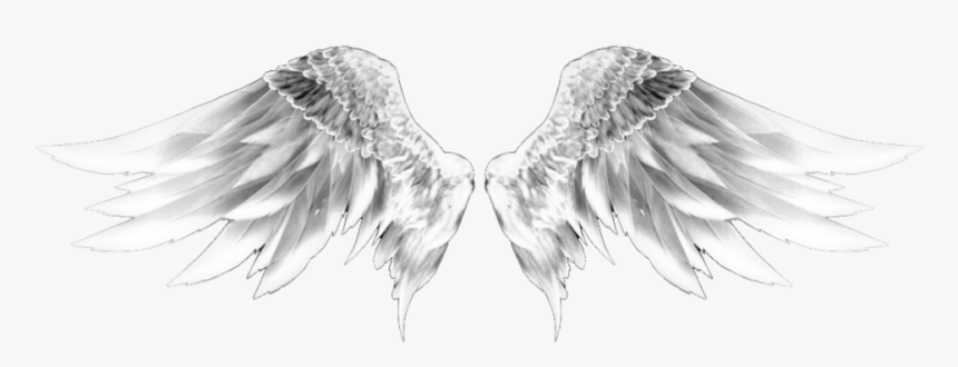 #wingsofanangel #wings #wings #whitewings #dubrootsgirlremix - Sketch, HD Png Download