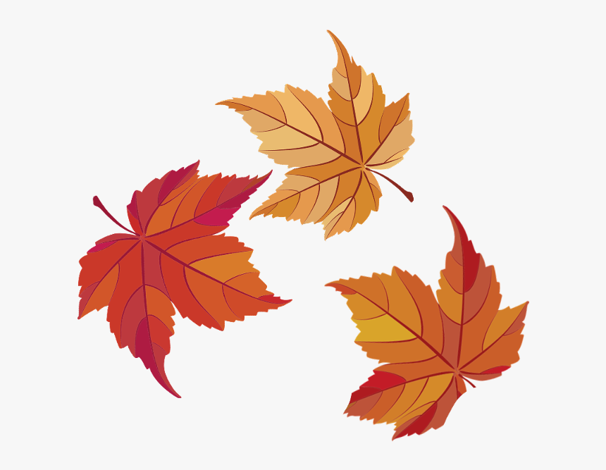 #ftestickers #fall #autumn #leaf #leaves #freetoedit - Maple Leaf, HD Png Download