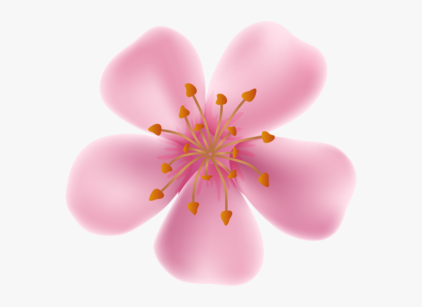 Spring Blooming Flower Clip Art Image - Flower Blooming Clip Art, HD Png Download