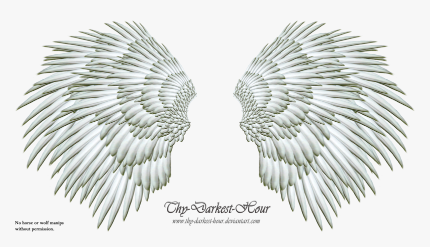 More Like Angel Wings Png 06 By Thy Darkest Hour - Clip Art, Transparent Png