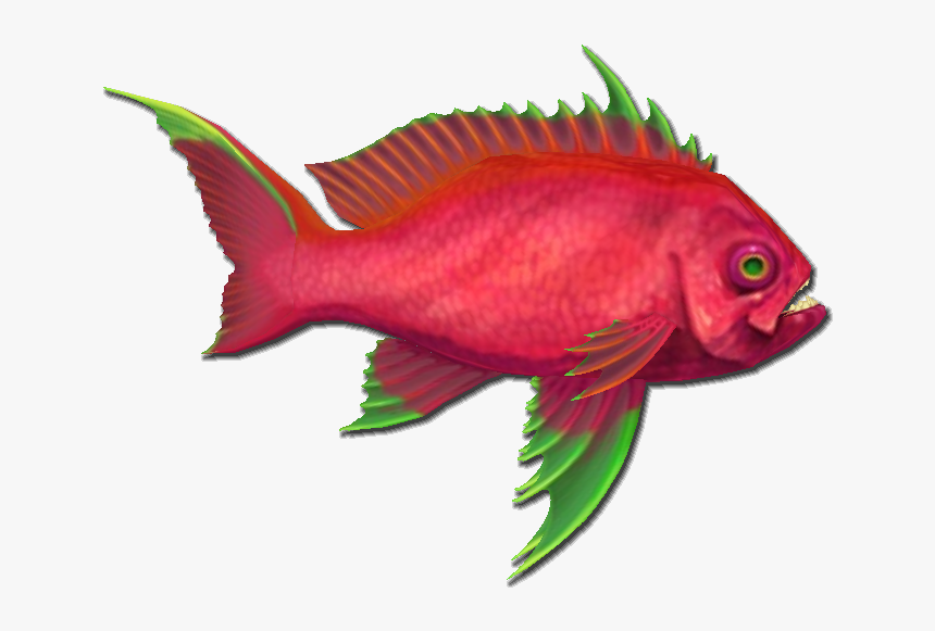 Pirates Online Wiki - Bony-fish, HD Png Download
